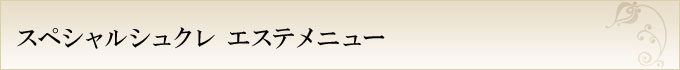 スペシャルシュクレ エステメニュー